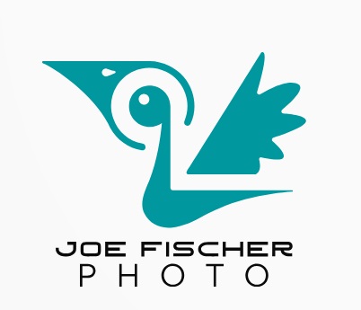 contact joe fischer photo